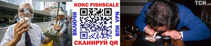 закладки  Кохма  Cocaine FishScale 