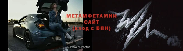 прущие грибы Ростов